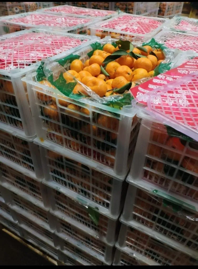 мандарины оптом, цена 33 р в Москве в Сургуте